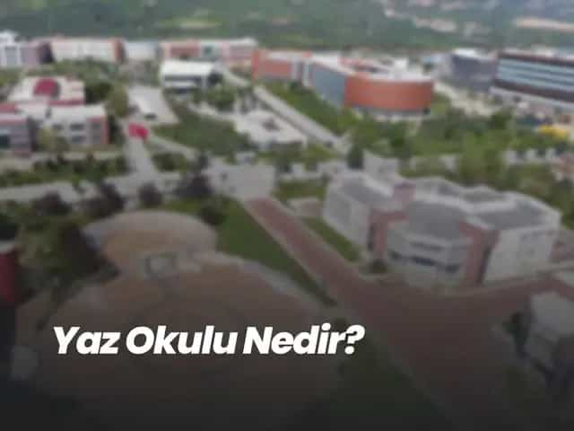 Yaz Okulu Nedir?